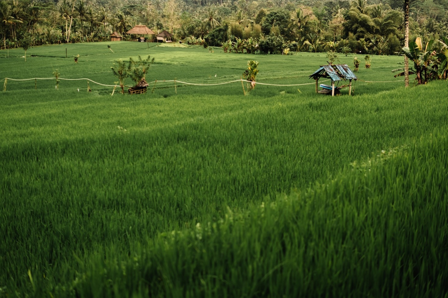 10 Must-Visit Attractions in Bali